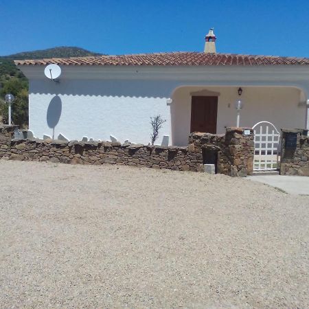 Sa Tanca De Su Mare Bed & Breakfast Budoni Bagian luar foto