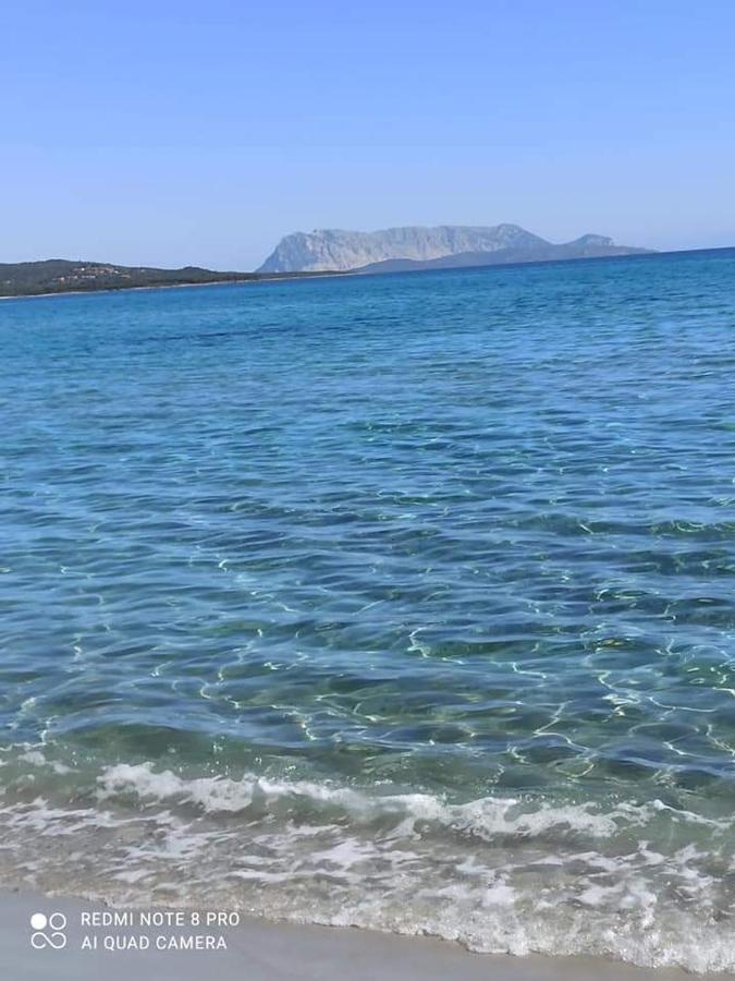 Sa Tanca De Su Mare Bed & Breakfast Budoni Bagian luar foto
