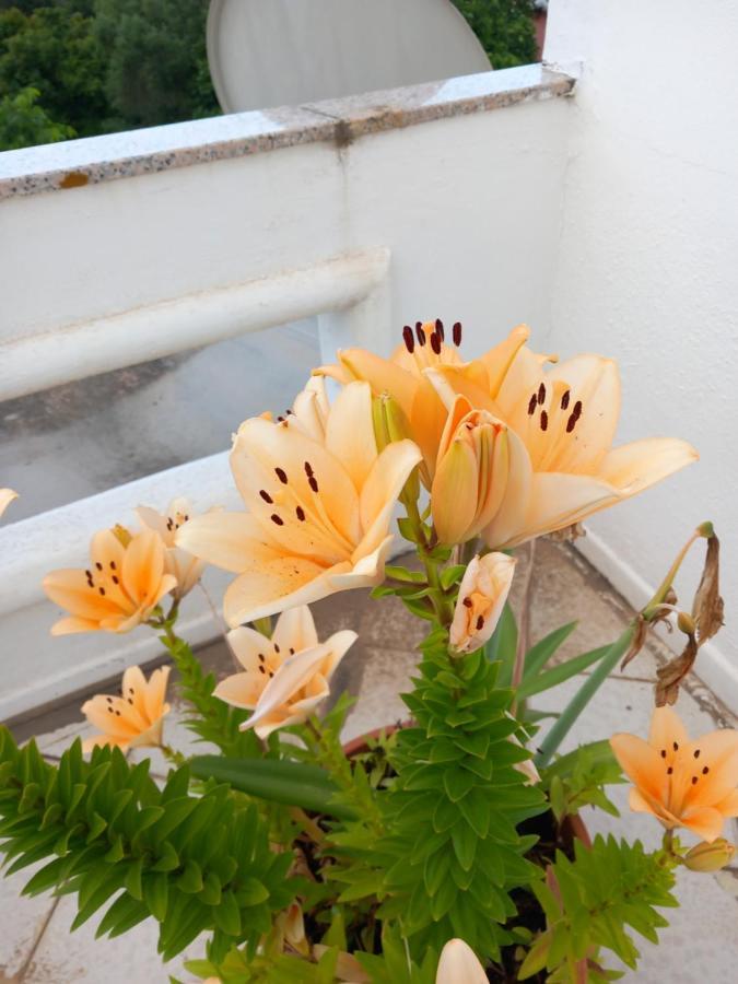 Sa Tanca De Su Mare Bed & Breakfast Budoni Bagian luar foto